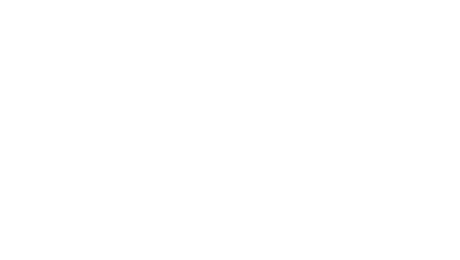 Houston Rent Cars